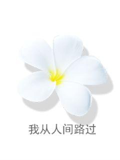 寂寞宫花红免费阅读-寂寞宫花红小说